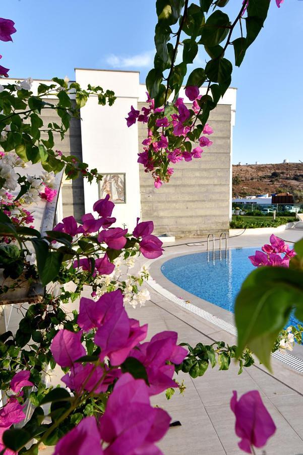 Apartament Royal Palm